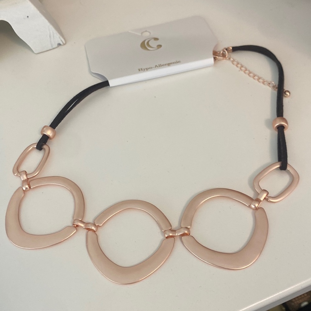 Charming Charlie’s Necklace